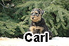 carl_1_1--2-