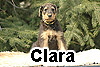 clara_1_1
