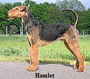 hamlett2_1